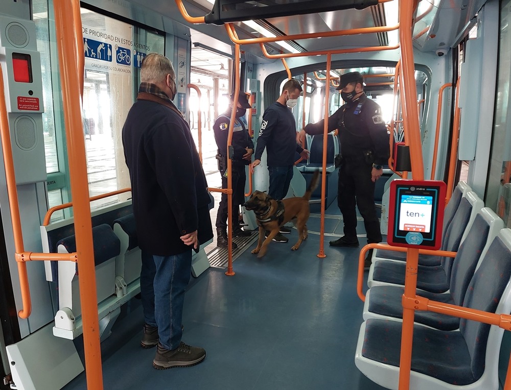 Adiestramiento canino en interior del tranvía.