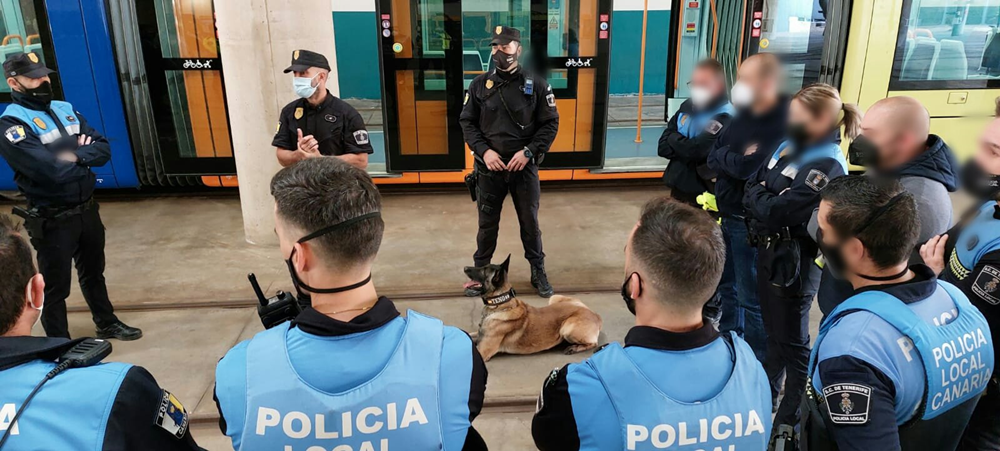 Instructores y agentes de formación en guías caninos en cocheras.