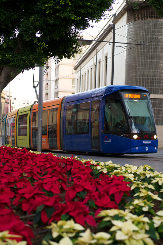 Tranvía circulando por la zona de Teatro Guimerá.